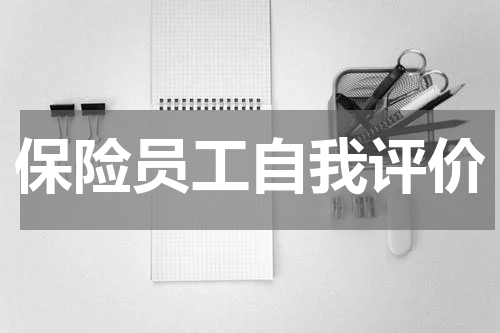 保险员工自我评价