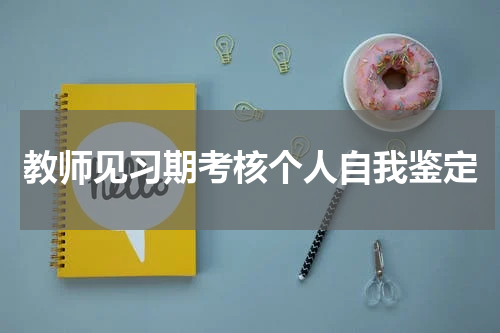 教师见习期考核个人自我鉴定
