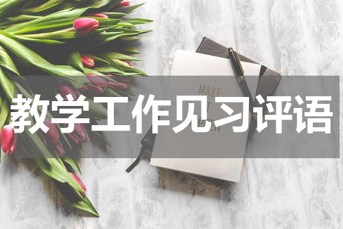 教学工作见习评语
