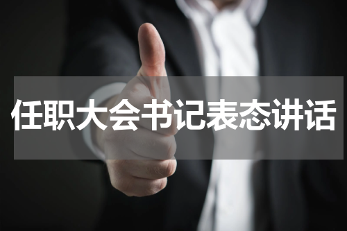 任职大会书记表态讲话