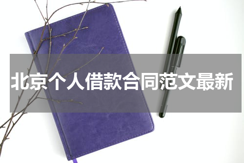 北京个人借款合同范文最新