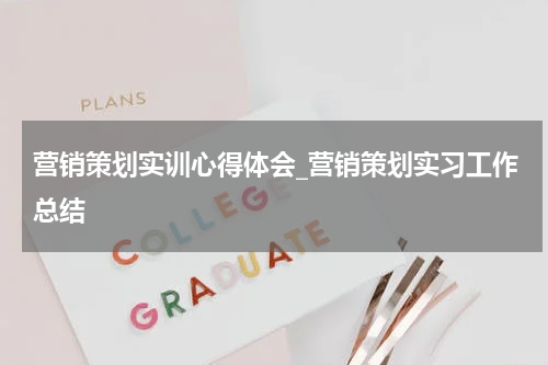 营销策划实训心得体会_营销策划实习工作总结