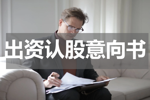 出资认股意向书