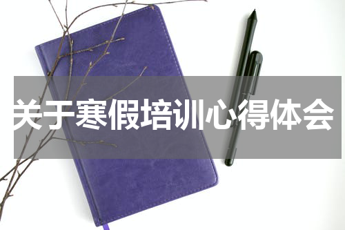 关于寒假培训心得体会
