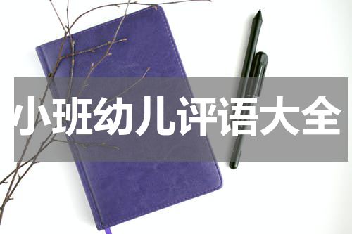 小班幼儿评语大全
