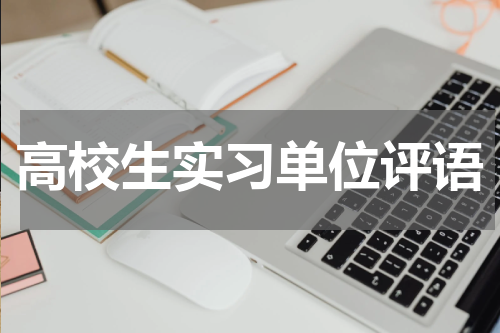 高校生实习单位评语