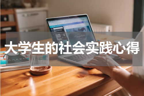 大学生的社会实践心得