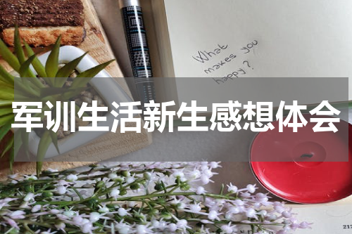 军训生活新生感想体会