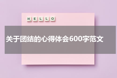 关于团结的心得体会600字范文