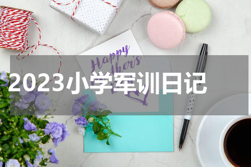 2023小学军训日记