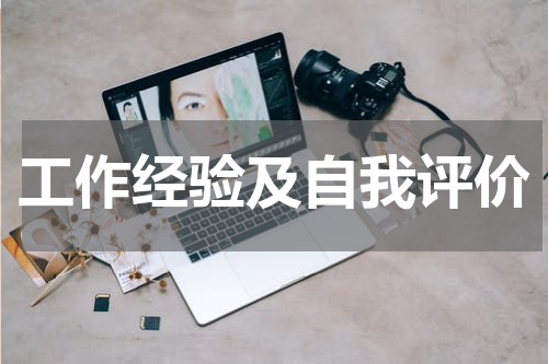 工作经验及自我评价