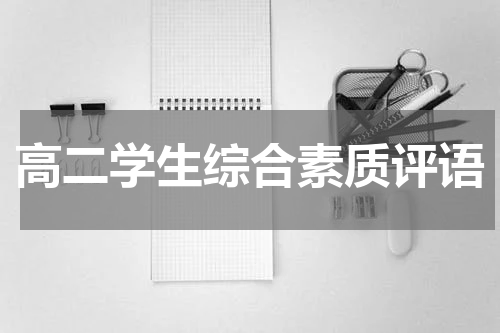 高二学生综合素质评语