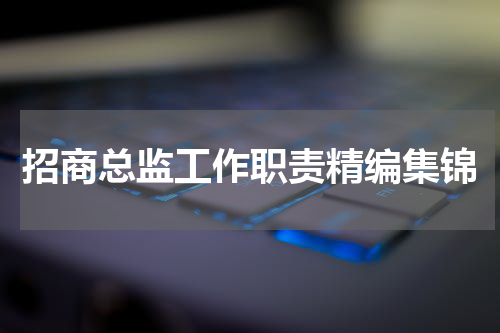 招商总监工作职责精编集锦