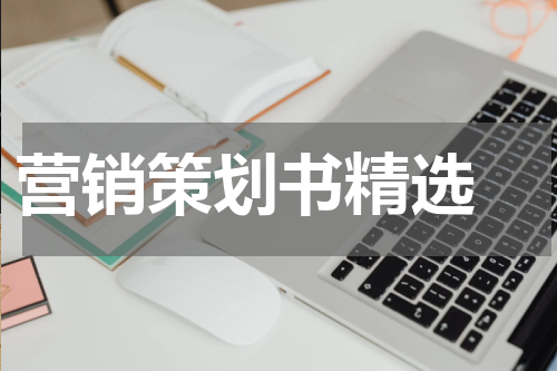 营销策划书精选