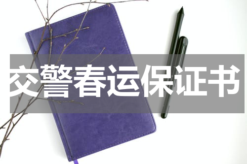 交警春运保证书