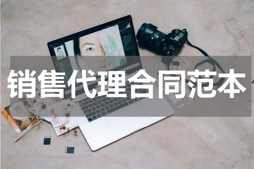 销售代理合同范本