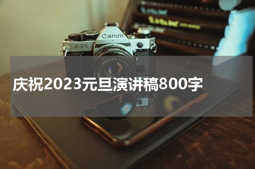 庆祝2023元旦演讲稿800字