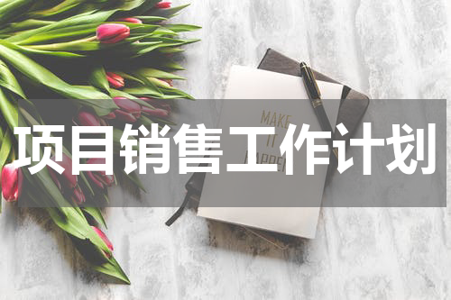 项目销售工作计划