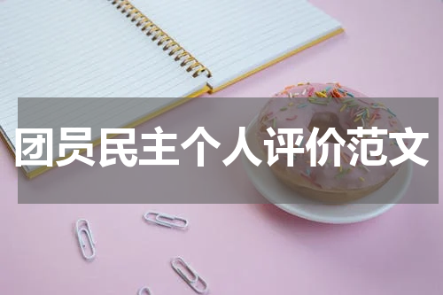 团员民主个人评价范文