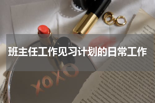 班主任工作见习计划的日常工作
