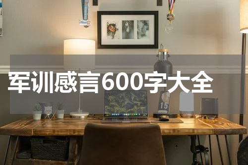 军训感言600字大全