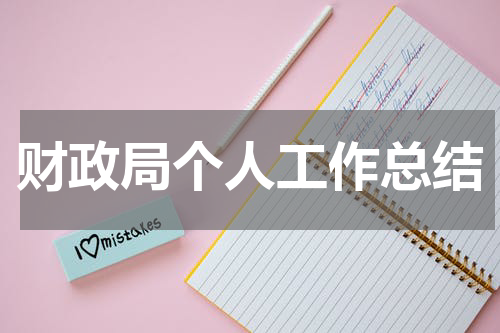 财政局个人工作总结