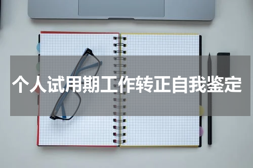 个人试用期工作转正自我鉴定