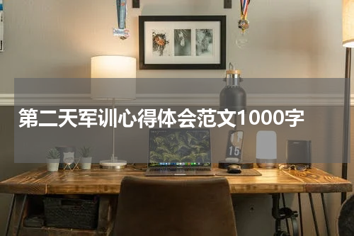 第二天军训心得体会范文1000字