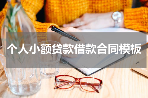 个人小额贷款借款合同模板