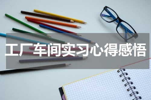 工厂车间实习心得感悟