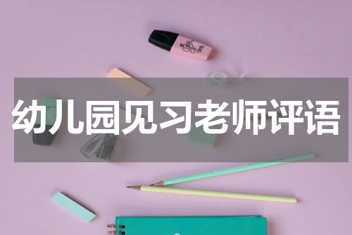 幼儿园见习老师评语