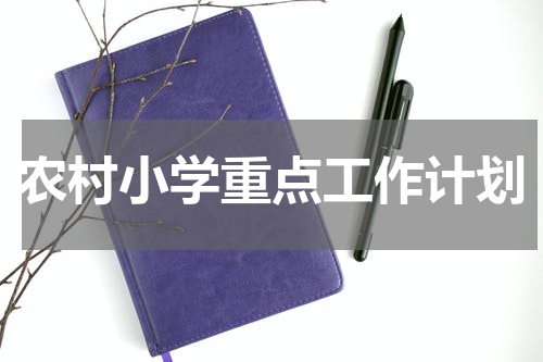 农村小学重点工作计划