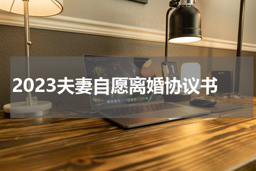 2023夫妻自愿离婚协议书