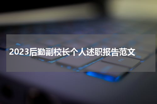 2023后勤副校长个人述职报告范文