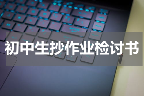 初中生抄作业检讨书