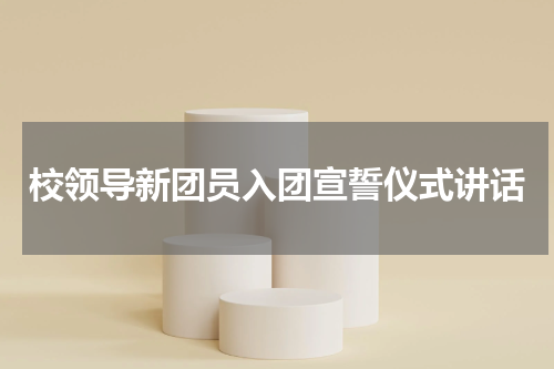 校领导新团员入团宣誓仪式讲话