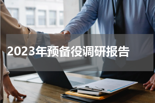 2023年预备役调研报告