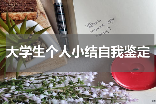 大学生个人小结自我鉴定