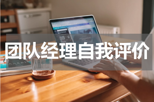 团队经理自我评价