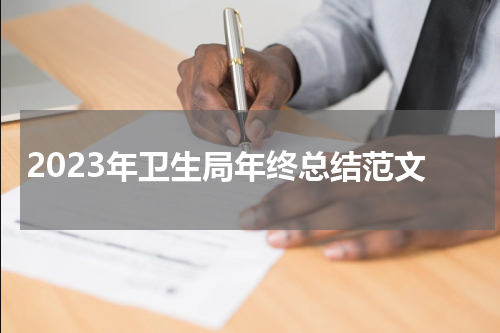 2023年卫生局年终总结范文