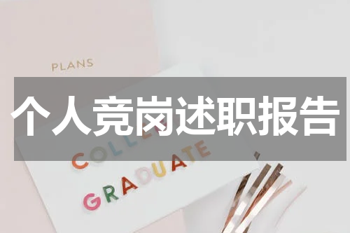 个人竞岗述职报告