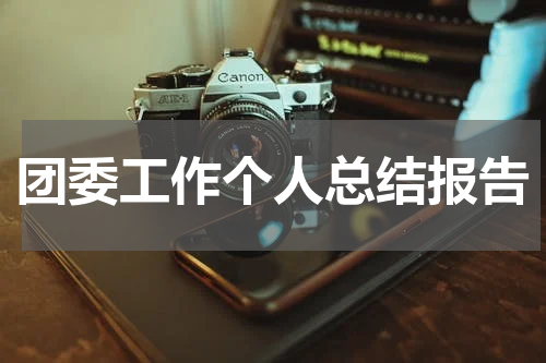团委工作个人总结报告