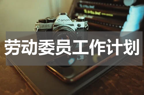 劳动委员工作计划