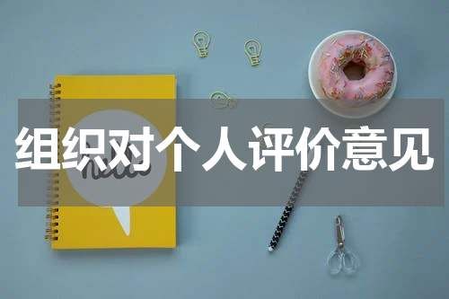 组织对个人评价意见