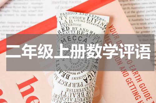 二年级上册数学评语