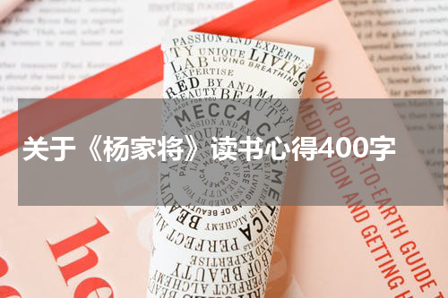 关于《杨家将》读书心得400字