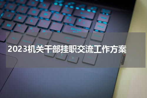2023机关干部挂职交流工作方案