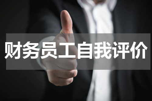 财务员工自我评价