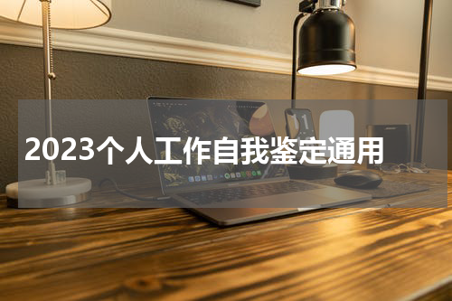 2023个人工作自我鉴定通用