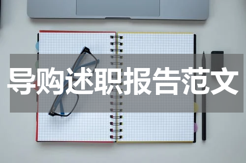 导购述职报告范文